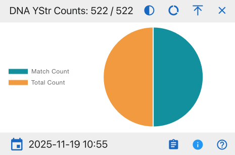 DNA YStr Counts