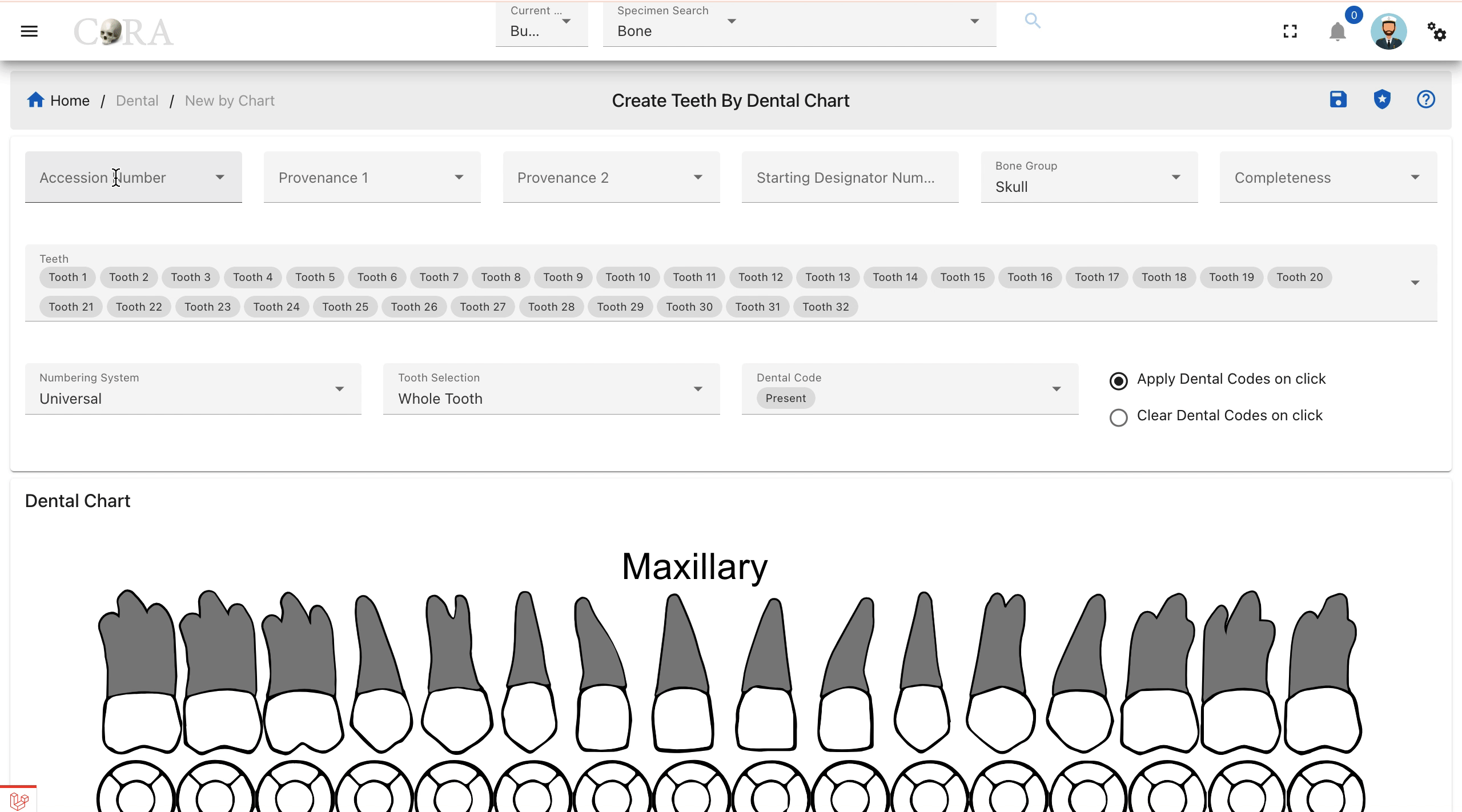 Dental Create by Chart