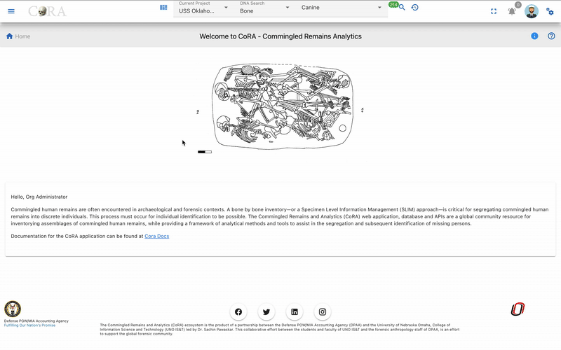 Dental Navigation