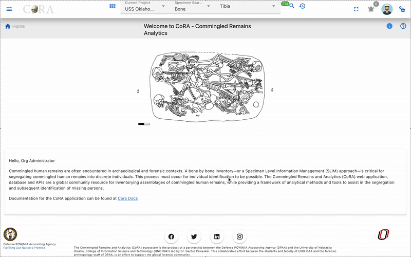 DNA Navigation