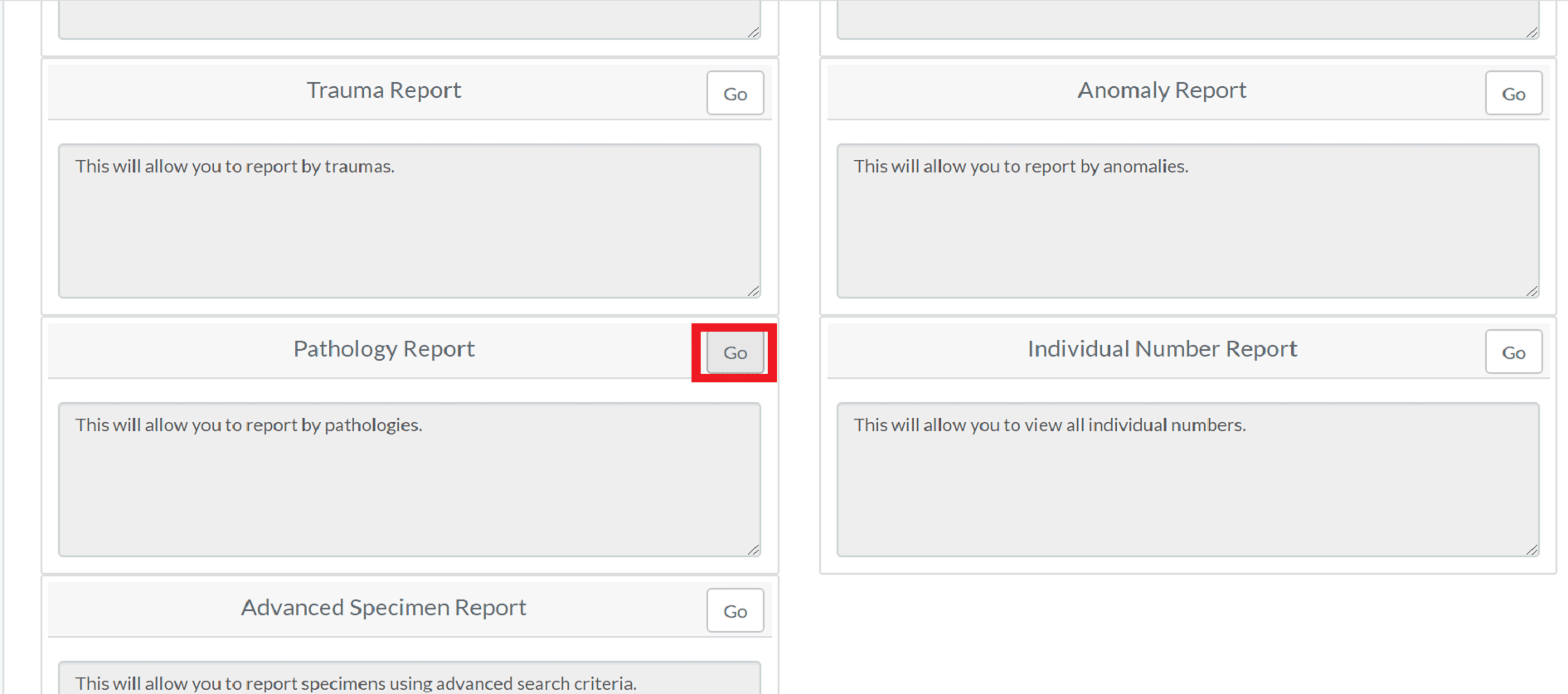 Pathology Report