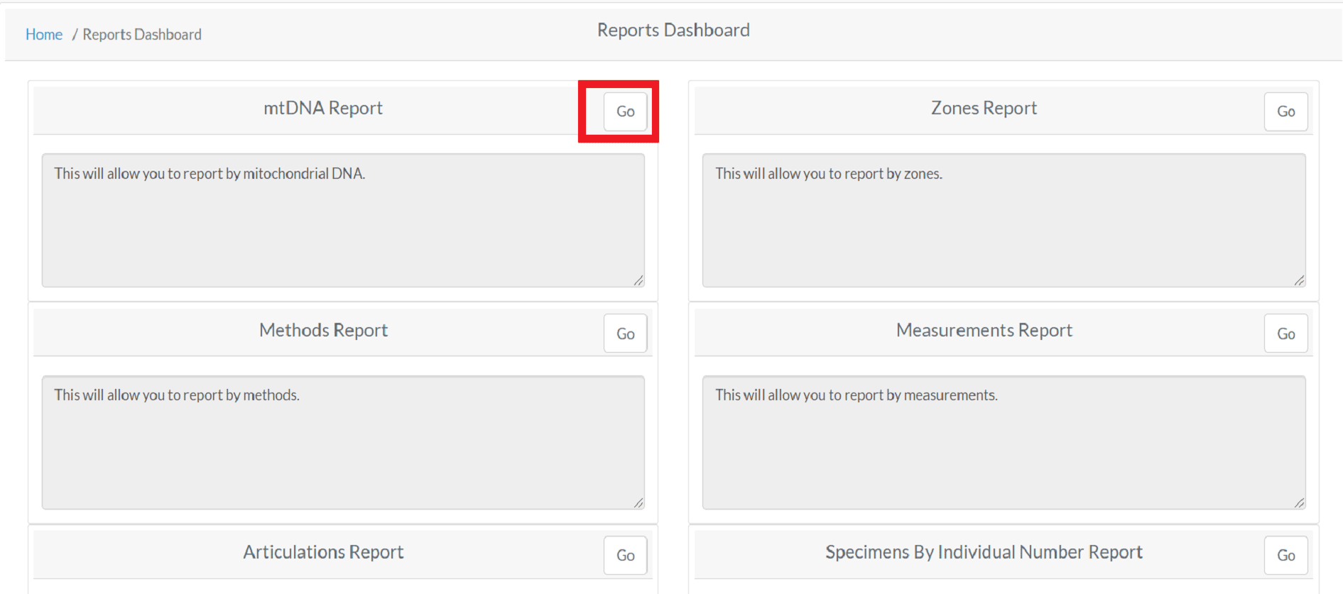 mtDNA Report
