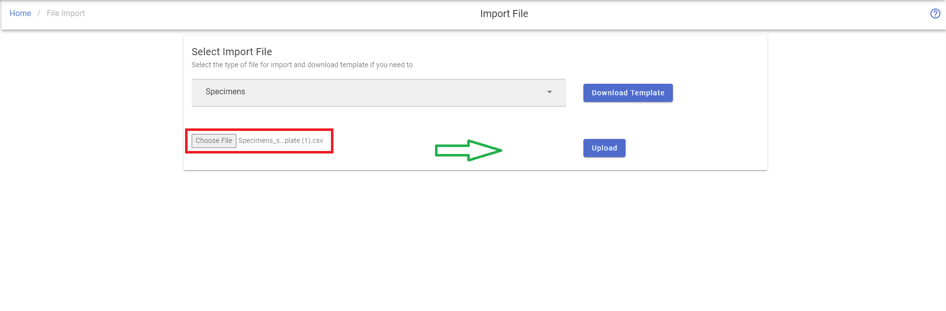 File Import Upload